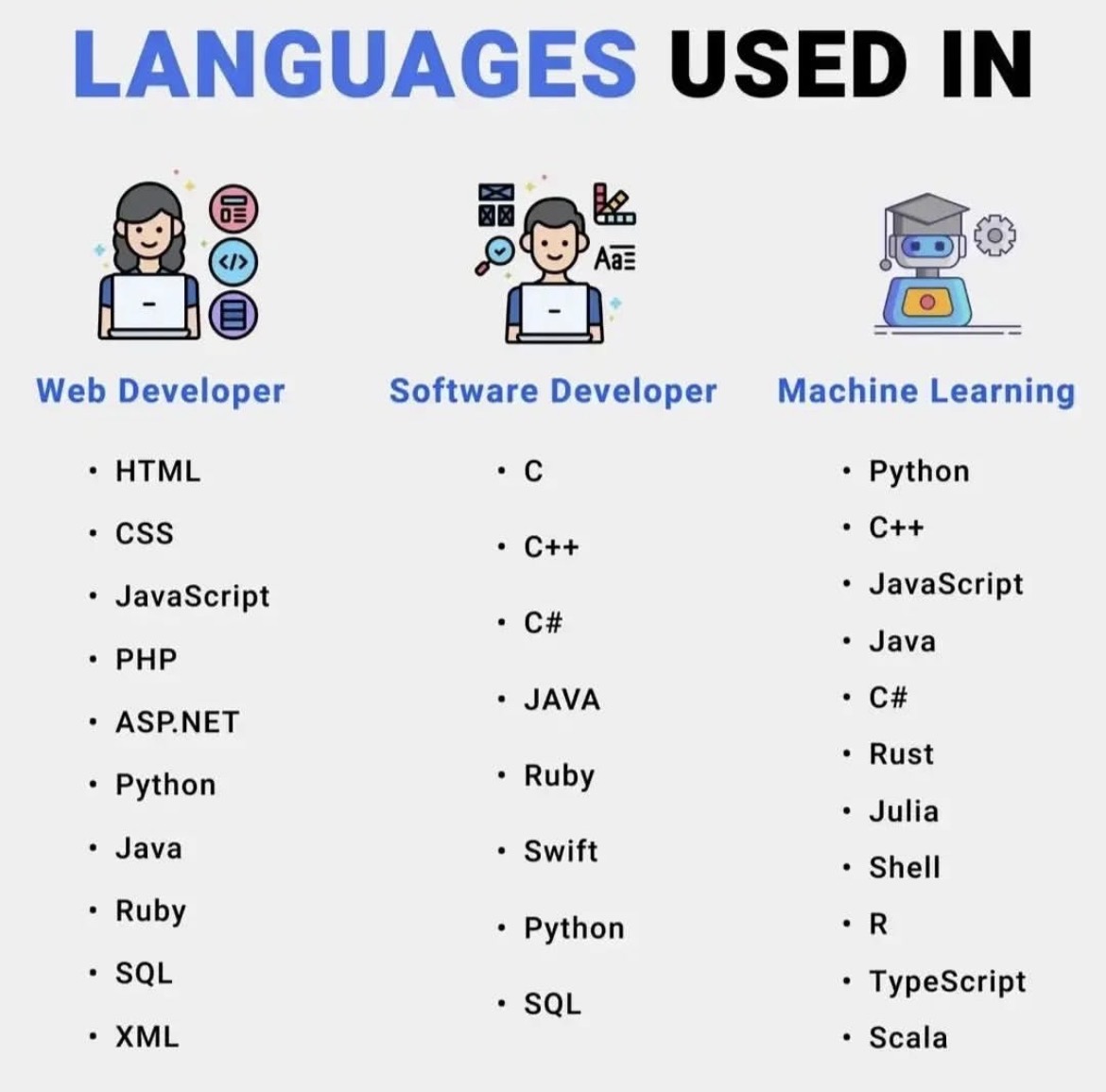 Which Programming Language Should You Learn for Web, Software, and ML?